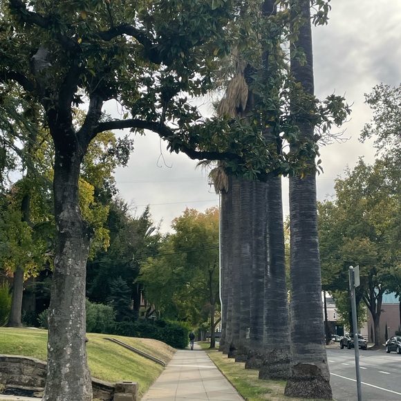 Photos - Picture 11 of 11